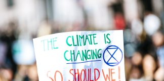 İklim Değişikliği ve Çevre: Dünyamızın Geleceği Tehlikede mi? iklim degisikligi ve cevre dunyamizin gelecegi tehlikede mi