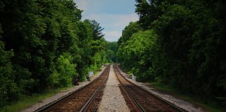 Taşınma Aşamaları: Evinizi Yeni Bir Yere Taşımanın Temel Adımları tasinma asmalari 2