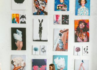 2 Gövdeli Yuka Bitkisi XL, Dracena Marginata Bitkisi ve Kauçuk Bitkisi Ficus Elastica Robusta: İç Mekanlarda Göz Alıcı Bitkiler nadirkaktus.com5